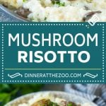 Mushroom Risotto Recipe | Mushroom Rice | Easy Risotto #rice #mushrooms #sidedish #glutenfree #dinner #sadud