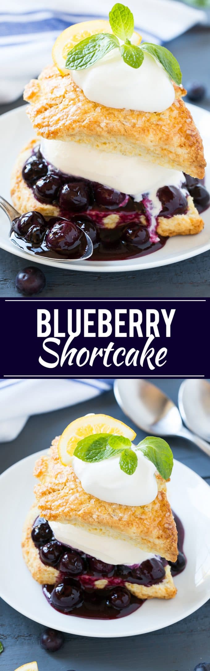 Blueberry Shortcake Recipe | Blueberry Sauce | Blueberry Dessert  #blueberries #dessert #icecream #sweets #sadud