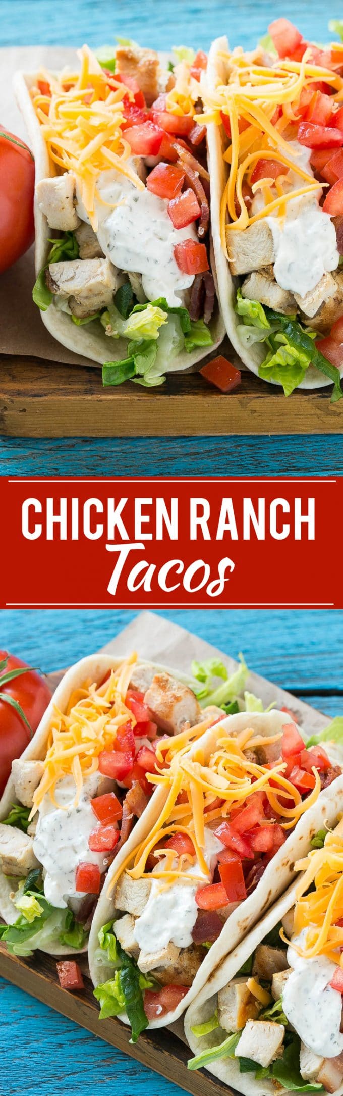Chicken Ranch Tacos Recipe | Chicken Tacos #chicken #tacos #bacon #dinner #sadud
