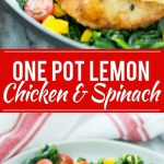 This recipe for Pan Seared Chicken Breast with Spinach is a one pot meal of chicken breasts and vegetables in the most delicious lemon, butter and herb sauce.
