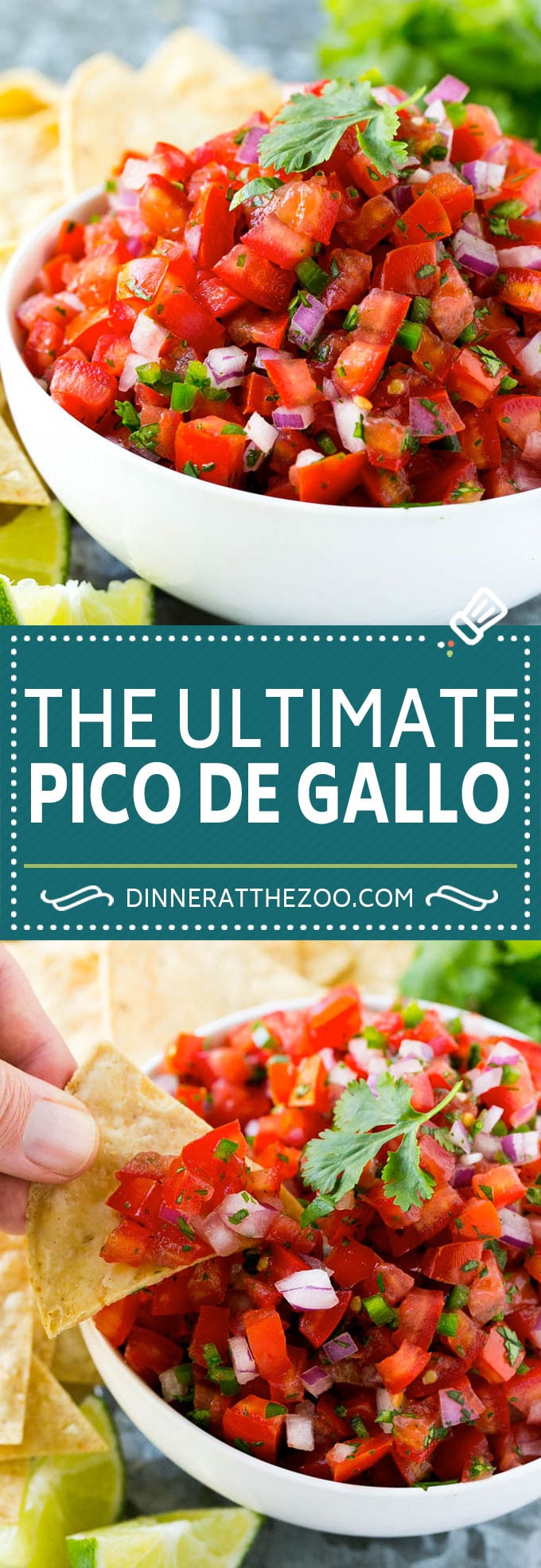 Pico de Gallo Recipe | Homemade Salsa Recipe | Salsa Fresca Recipe #salsa #salsafresca #picodegallo #snack #appetizer #sadud