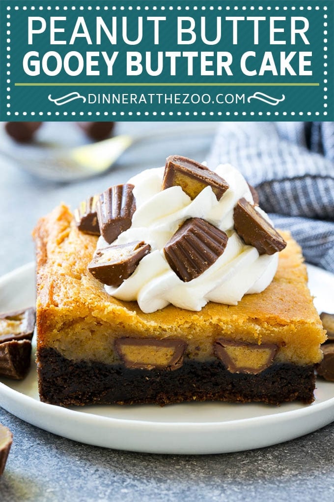Peanut Butter Chocolate Gooey Butter Cake Recipe | Gooey Butter Cake | Peanut Butter Cake | Chocolate Peanut Butter Cake #cake #butter #peanutbutter #chocolate #dessert #sadud
