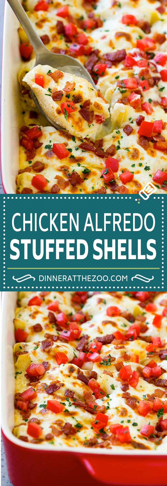 Chicken Alfredo Stuffed Shells Recipe | Stuffed Shells | Chicken Stuffed Shells | Baked Pasta #stuffedshells #alfredo #chicken #pasta #cheese #dinner #sadud