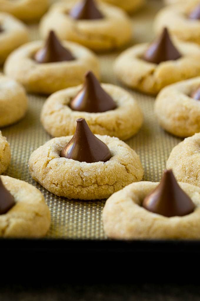 Peanut Butter Blossoms Recipe | Hershey Kiss Cookies | Chocolate Peanut Butter Cookies #cookies #peanutbutter #chocolate #dessert #baking #christmas #christmascookies #sadud Baked peanut butter blossom cookies on a sheet pan.
