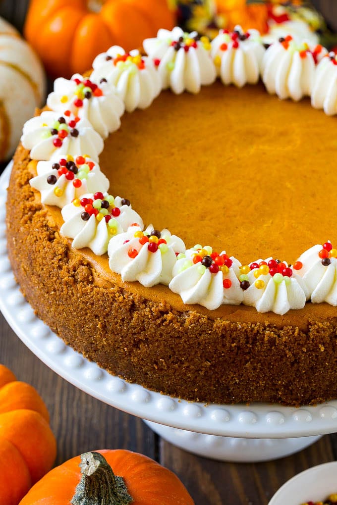 Pumpkin Cheesecake Recipe | Pumpkin Pie Cheesecake | Pumpkin Dessert #pumpkin #thanksgiving #dessert #cheesecake #fall #sadud A pumpkin cheesecake on a cake stand topped with whipped cream and sprinkles.