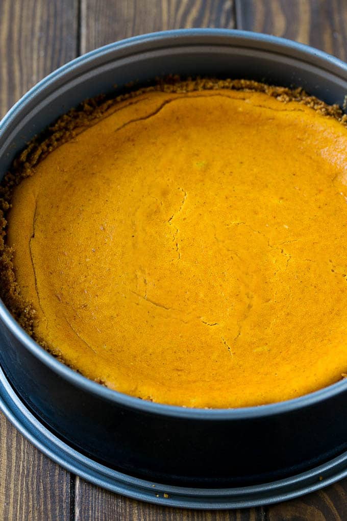 Pumpkin Cheesecake Recipe | Pumpkin Pie Cheesecake | Pumpkin Dessert #pumpkin #thanksgiving #dessert #cheesecake #fall #sadud A baked cake inside of a springform pan.