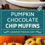 Pumpkin Chocolate Chip Muffins Recipe | Pumpkin Muffins | Chocolate Pumpkin Muffins #muffins #pumpkin #fall #chocolate #dessert #snack #sadud