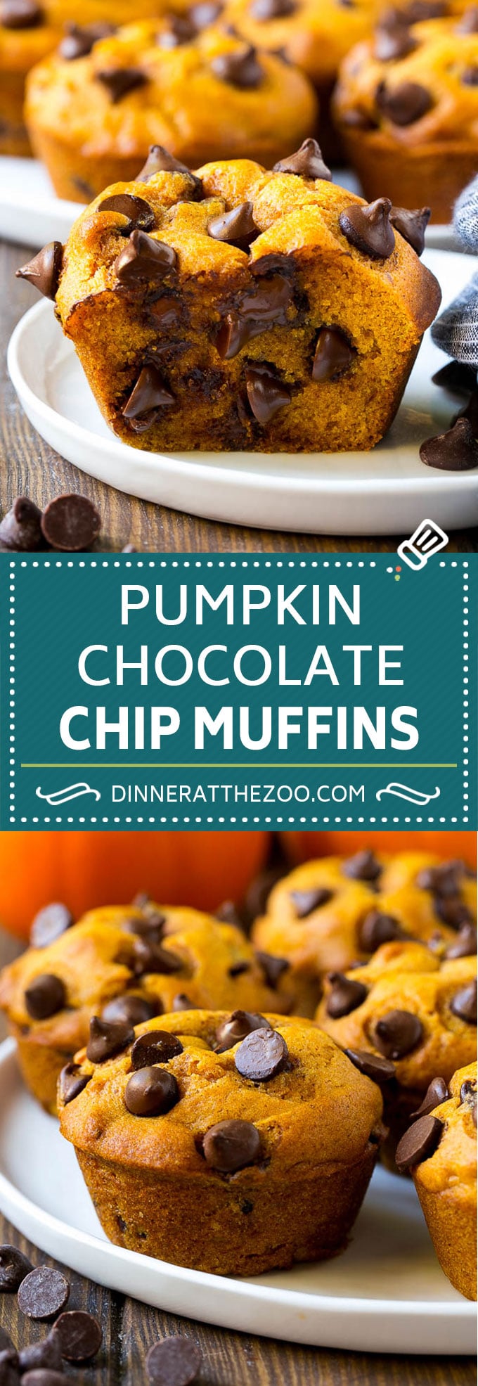 Pumpkin Chocolate Chip Muffins Recipe | Pumpkin Muffins | Chocolate Pumpkin Muffins #muffins #pumpkin #fall #chocolate #dessert #snack #sadud
