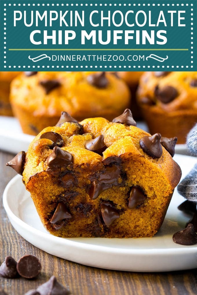 Pumpkin Chocolate Chip Muffins Recipe | Pumpkin Muffins | Chocolate Pumpkin Muffins #muffins #pumpkin #fall #chocolate #dessert #snack #sadud