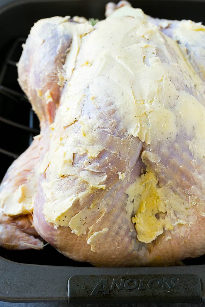Roast Turkey Recipe | Thanksgiving Turkey | Holiday Turkey | Baked Turkey #turkey #thanksgiving #christmas #dinner #glutenfree #sadud A whole raw turkey coated in seasoned butter.