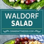 Waldorf Salad Recipe | Apple Salad | Fruit Salad #salad #fruit #apples #grapes #lunch #sadud #glutenfree