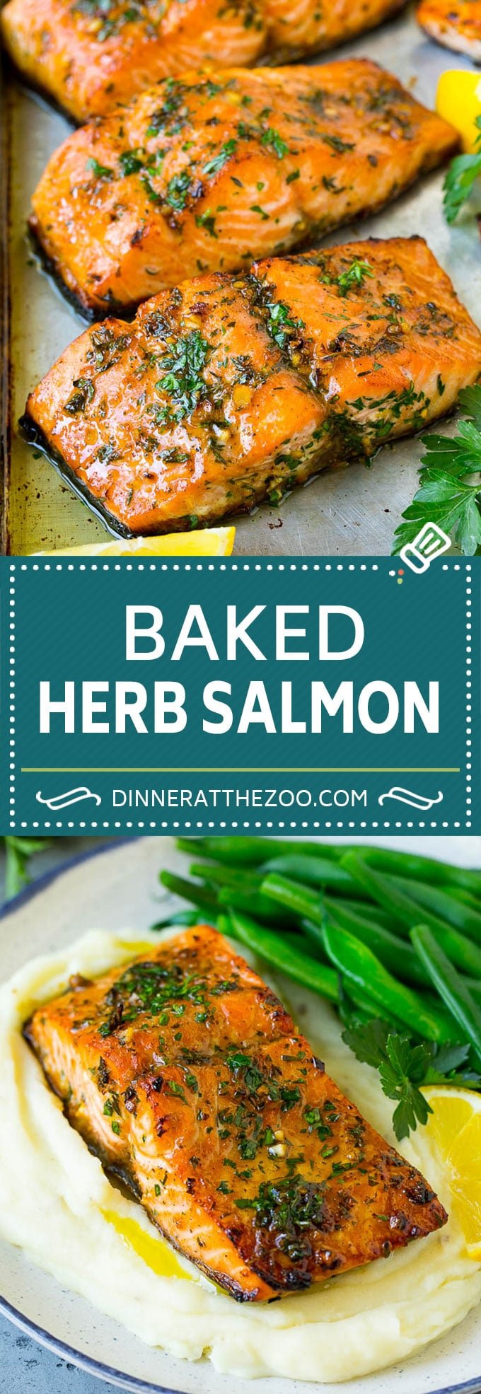 Baked Salmon Recipe | Garlic Salmon | Roasted Salmon #salmon #seafood #fish #dinner #sadud