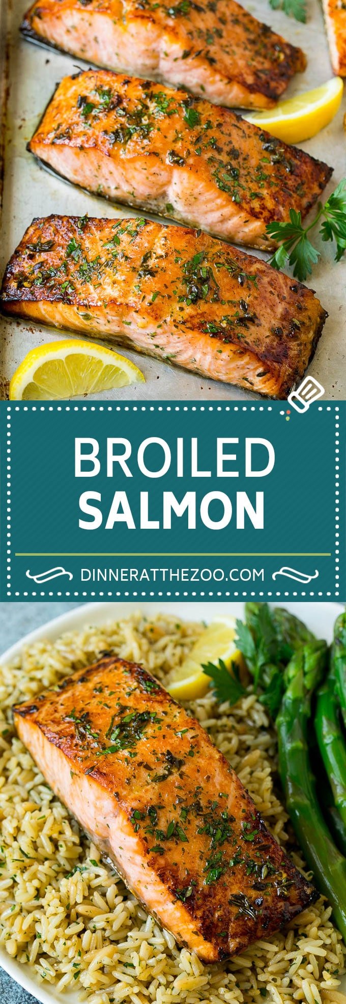 Broiled Salmon Recipe | Healthy Salmon Recipe #salmon #garlic #seafood #dinner #sadud