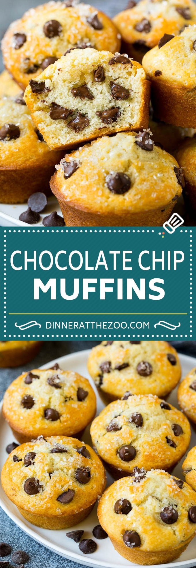 Chocolate Chip Muffins | Easy Muffin Recipe #chocolate #muffins #baking #breakfast #snack #sadud