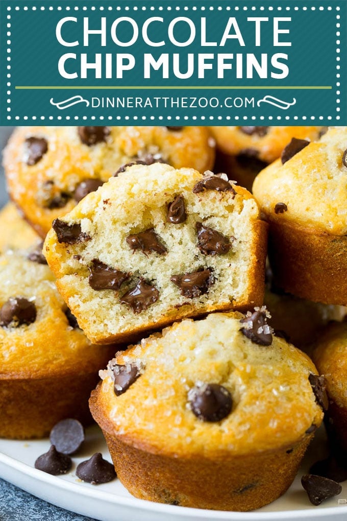 Chocolate Chip Muffins | Easy Muffin Recipe #chocolate #muffins #baking #breakfast #snack #sadud