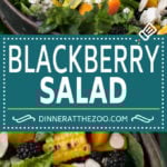 Blackberry Salad Recipe | Summer Salad #salad #blackberries #apricot #corn #dinner #healthy #sadud