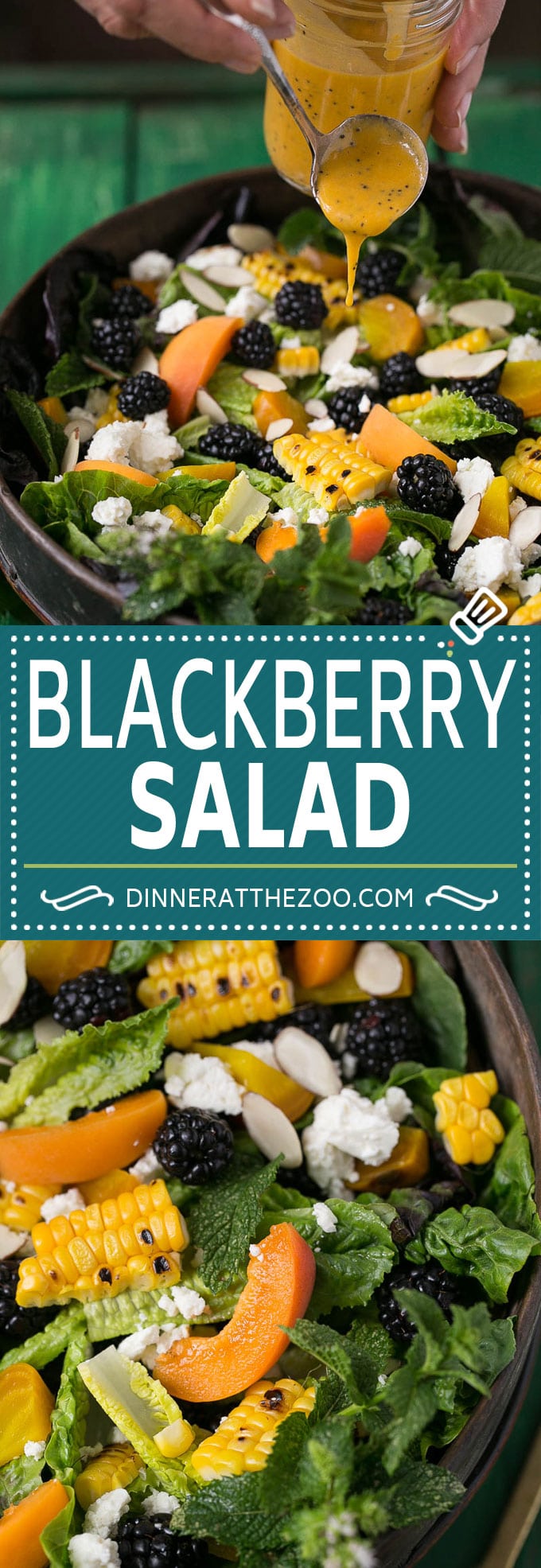 Blackberry Salad Recipe | Summer Salad #salad #blackberries #apricot #corn #dinner #healthy #sadud