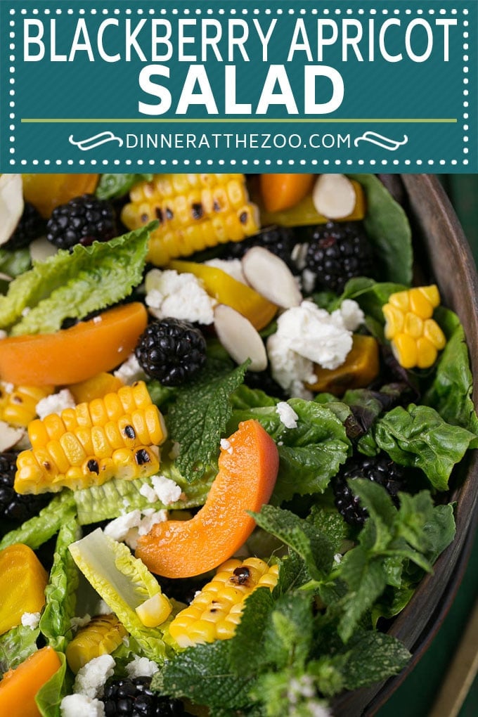 Blackberry Salad Recipe | Summer Salad #salad #blackberries #apricot #corn #dinner #healthy #sadud