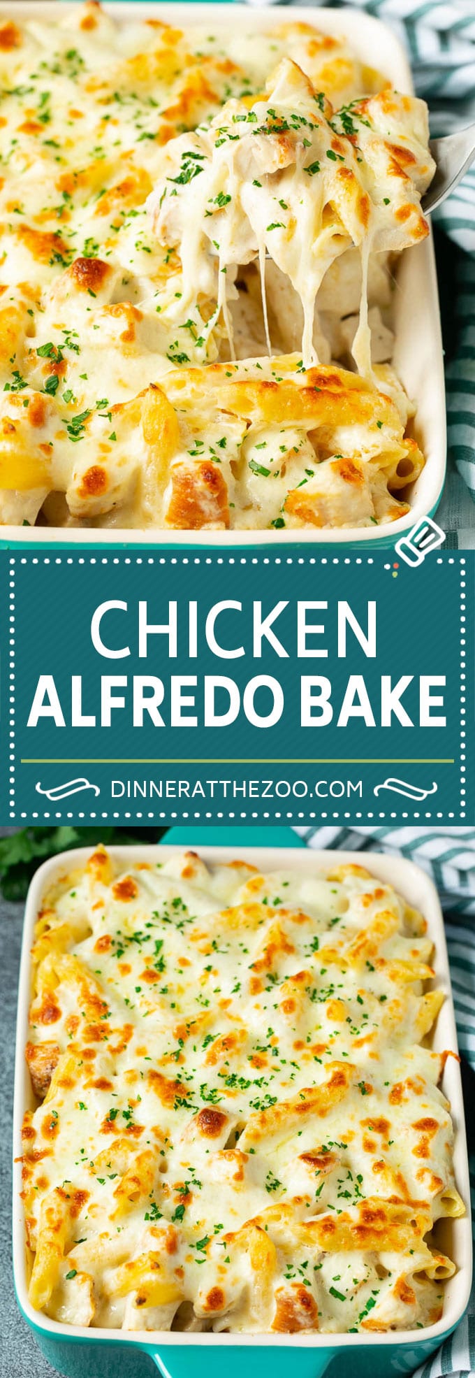 Chicken Alfredo Bake | Baked Pasta #chicken #pasta #cheese #comfortfood #dinner #sadud