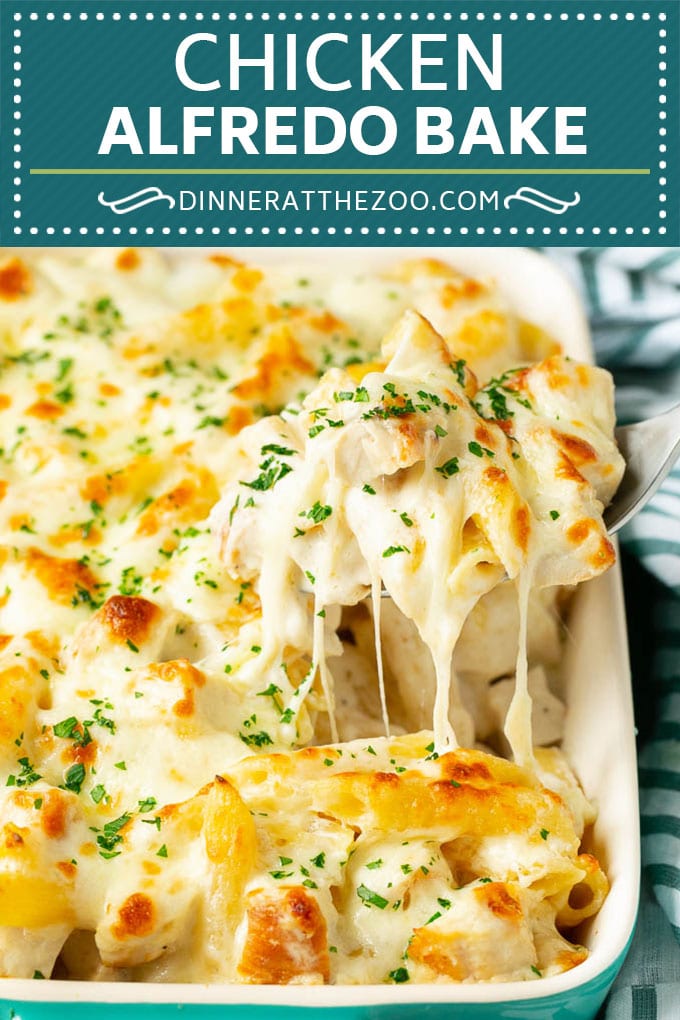 Chicken Alfredo Bake | Baked Pasta #chicken #pasta #cheese #comfortfood #dinner #sadud