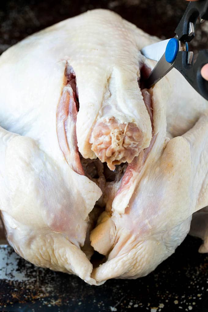 Spatchcock Turkey | Roasted Turkey | Thanksgiving Turkey #turkey #thanksgiving #dinner #fall #christmas #sadud A scissors cutting the back bone out.