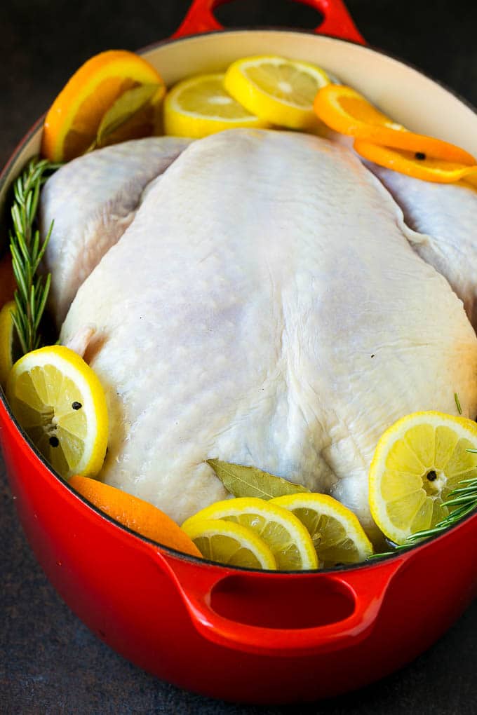 Thanksgiving Turkey Recipe | Roasted Turkey #turkey #thanksgiving #fall #dinner #sadud A turkey in a pot of brine.