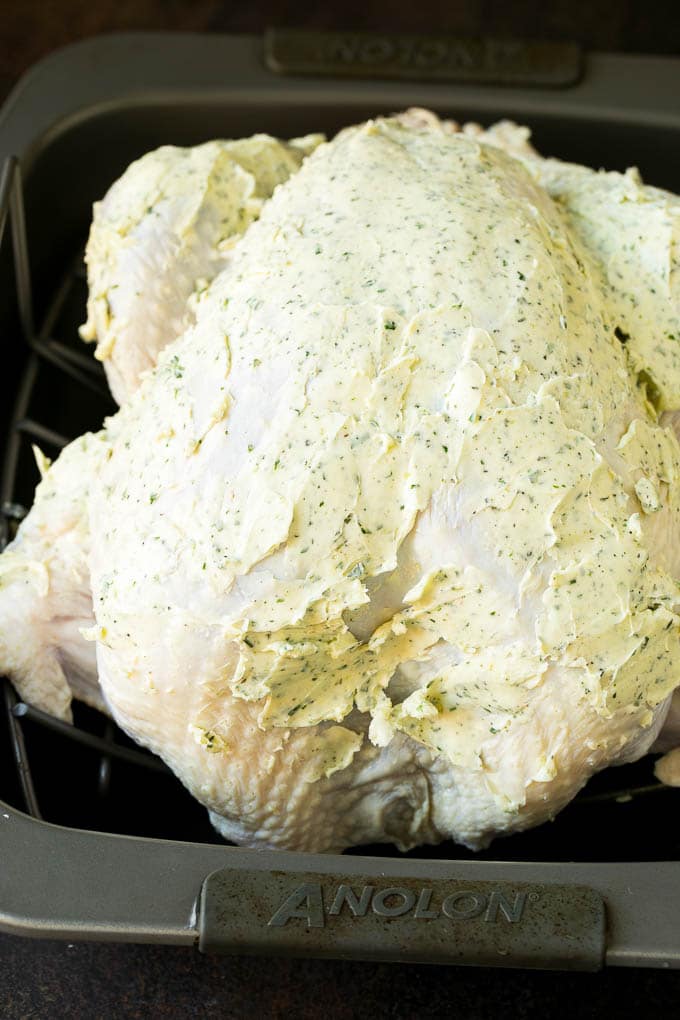Thanksgiving Turkey Recipe | Roasted Turkey #turkey #thanksgiving #fall #dinner #sadud A turkey coated in herb butter.