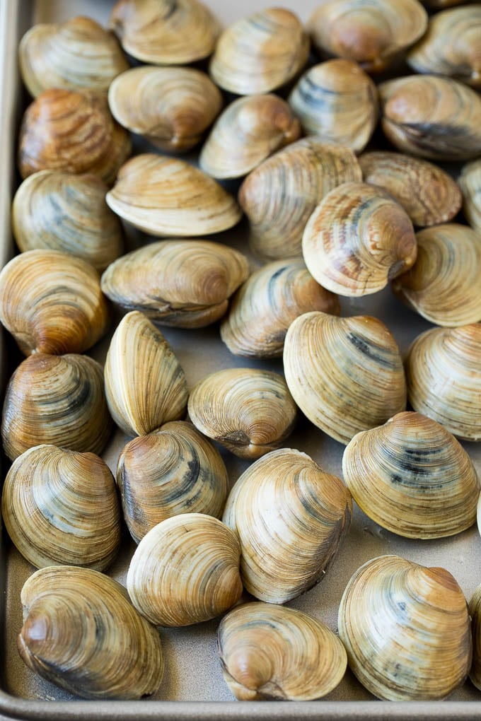 This steamed clams recipe is fresh shellfish cooked with garlic, butter, herbs and lemon. Fresh clams on a sheet pan.