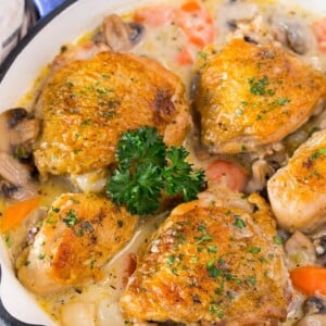A pan of chicken fricassee in a creamy sauce with vegetables.