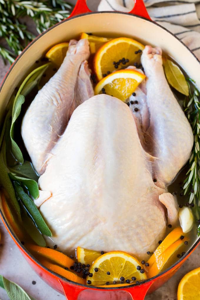 This is a complete guide on how to brine a turkey to get the most tender and flavorful bird each and every time. How to brine a turkey with a raw turkey in a pot of brine.