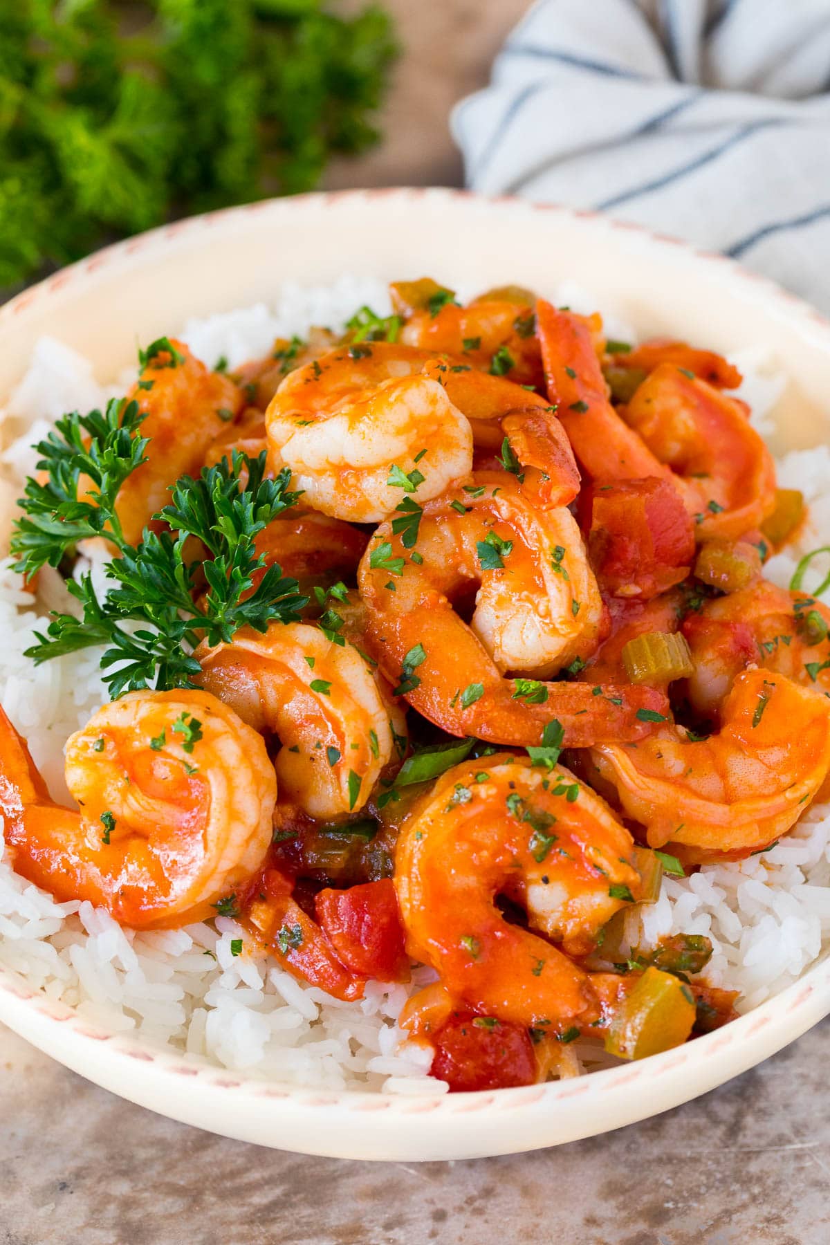A bowl of Shrimp Creole served over rice.