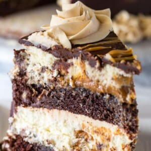 A picture of a slice of Reeces Peanut Butter Chocolate Cheesecake.