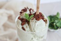 Creamy Vegan Mint Chocolate Chip Delight