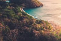 Costa Rica’s Pacific Coast: Your Ultimate Travel Guide