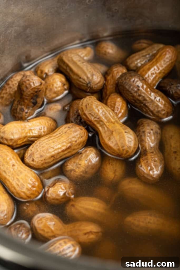 boiled peanuts in the instant pot