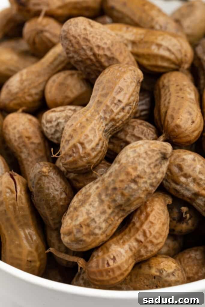close up image of instant pot boiled peanuts in a bowl
