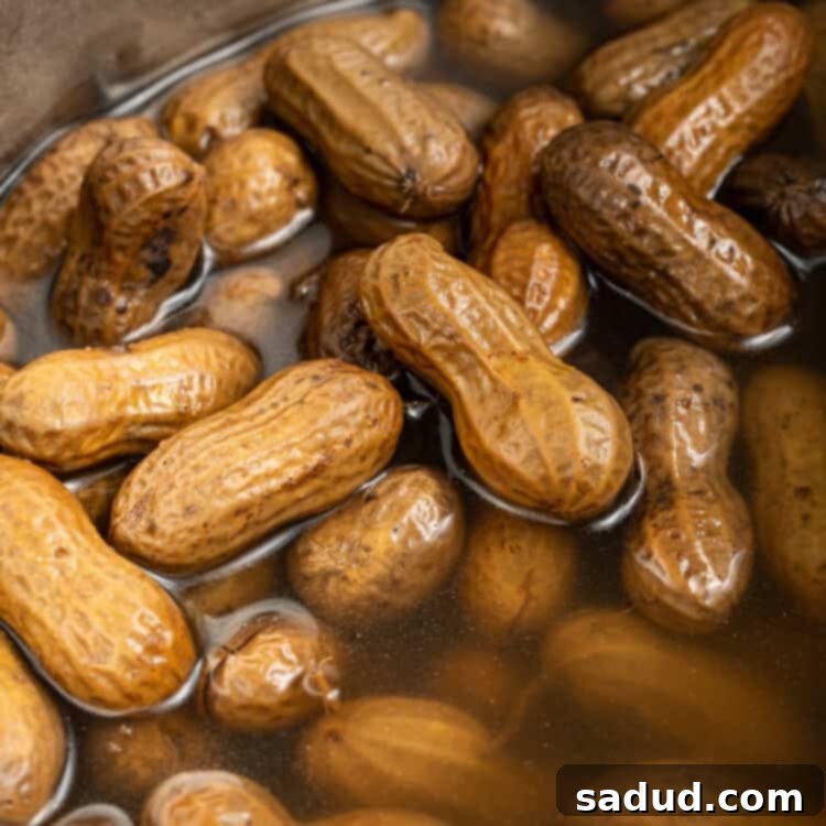 boiled peanuts in the instant pot