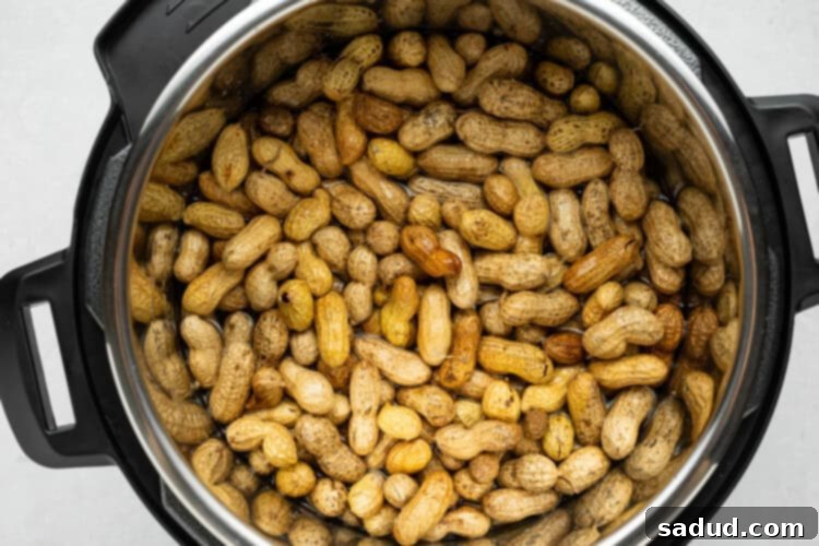 Instant Pot Boiled Peanuts prep step 1