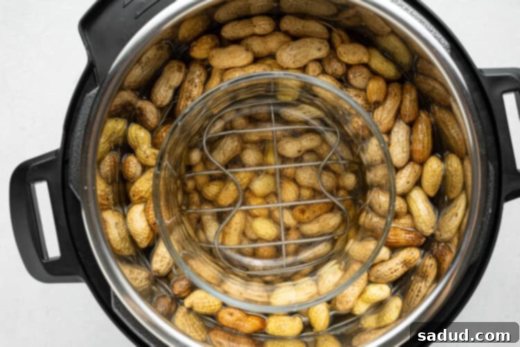 Instant-Pot-Boiled-Peanuts-SF-2
