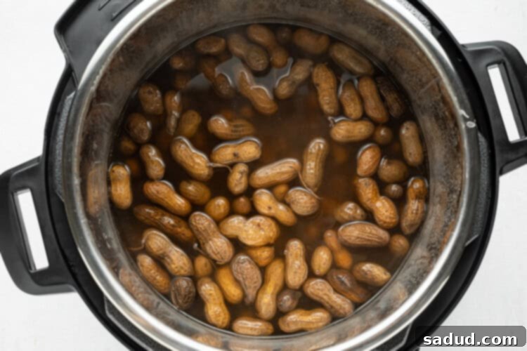 Instant-Pot-Boiled-Peanuts-SF-3