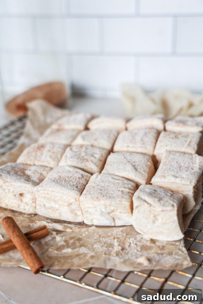 Homemade Snickerdoodle Marshmallows - DIY Edible Christmas Gift