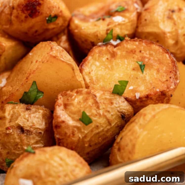 close up image of air fryer home fries with flakey sea salt and chopped parsley on top