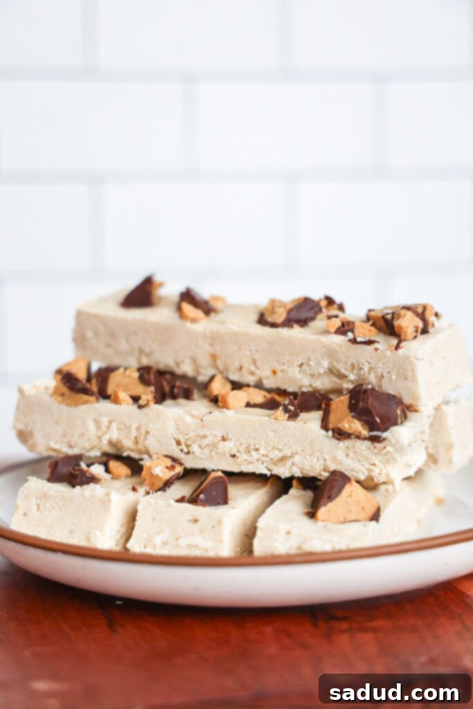 Creamy high-protein frozen yogurt bars with rich peanut butter and chocolate swirls.