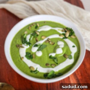 The Best Green Goddess Soup (Immune Boosting)