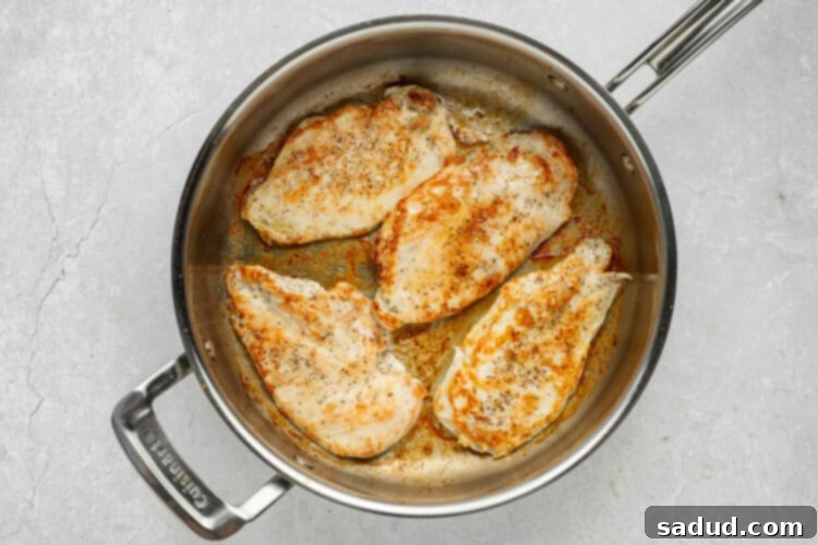 chicken pomodoro process photo 2