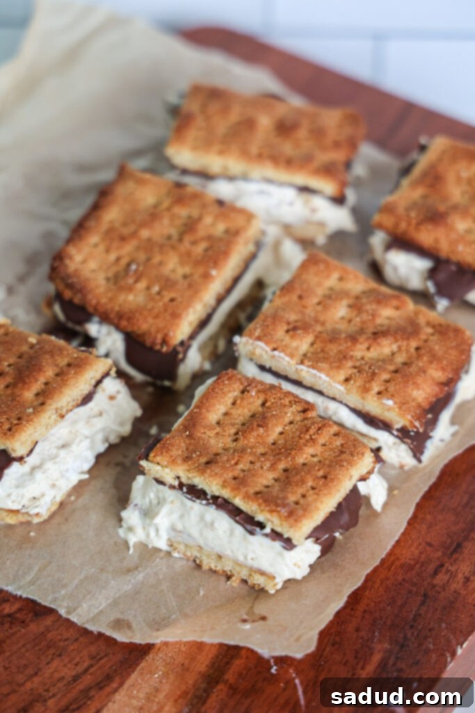 Frozen s'mores (high protein)