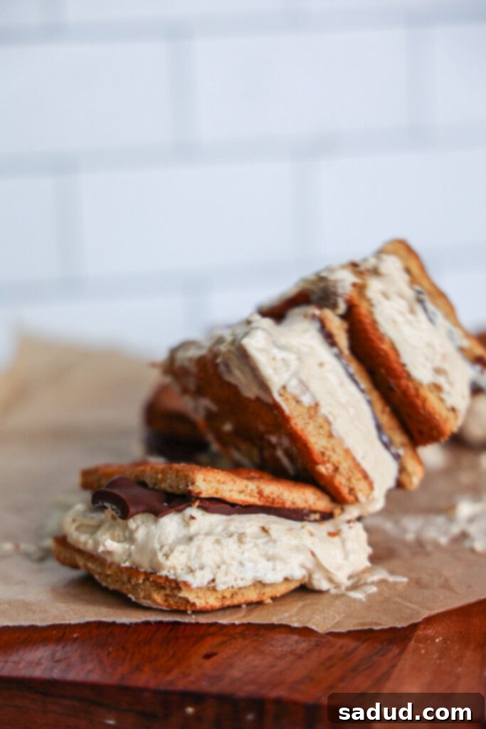 frozen s'mores