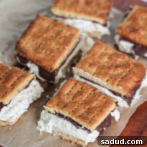 High Protein Frozen S'mores