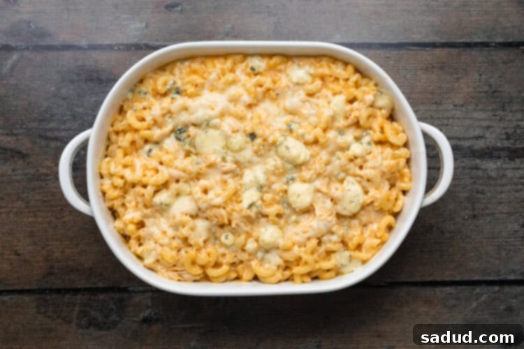Overhead view of buffalo chicken mac and cheese on a dark wooden background, freshly baked and ready to eat.