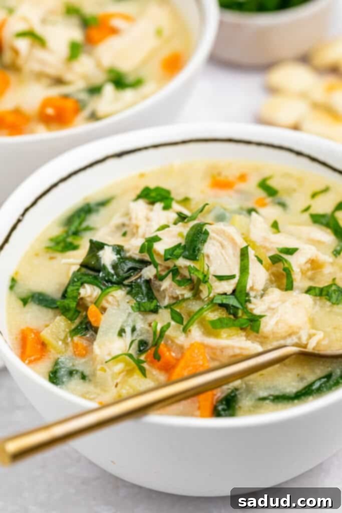 Hearty Chicken Florentine Soup 3 Two bowls of creamy Chicken Florentine Soup, served with crackers and fresh parsley on the side.